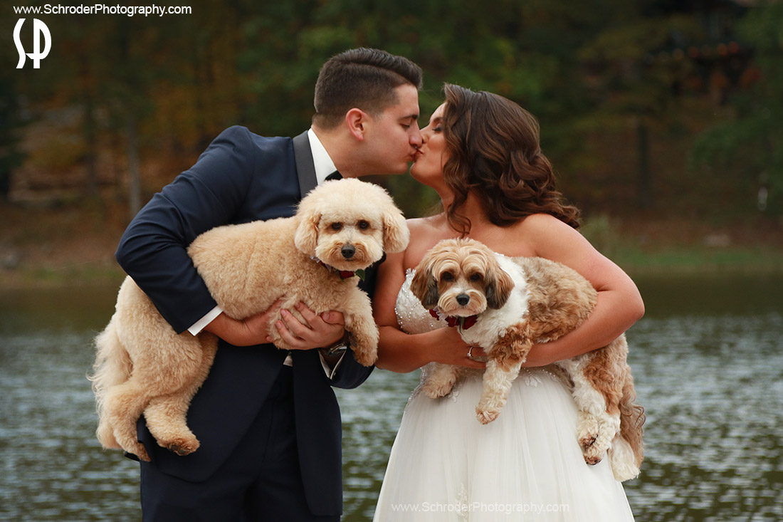 Dogs at Weddings NJ